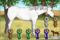 Horse Color:White Spotted Bay Dun