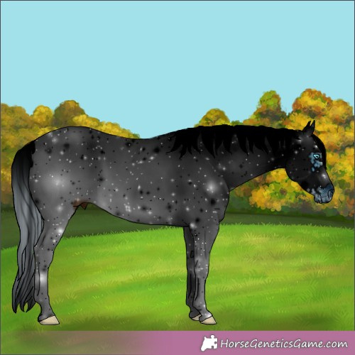 Horse Color:ERROR: UNKNOWN ANOMALY