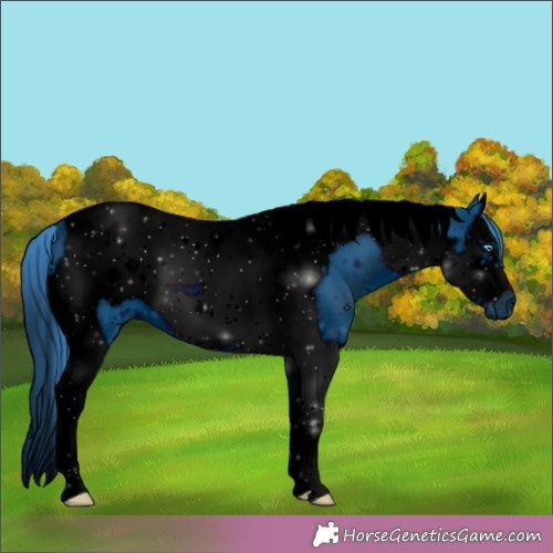 Horse Color:ERROR: UNKNOWN ANOMALY