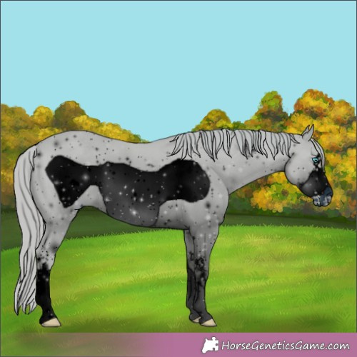 Horse Color: ERROR: UNKNOWN ANOMALY