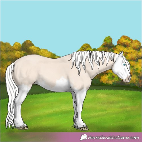 Horse Color: Silver Perlino Splash 