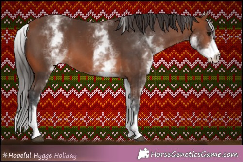 Horse Color:White Spotted Brown 