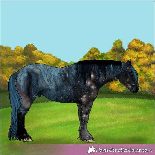 Horse Color:ERROR: UNKNOWN ANOMALY