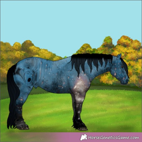 Horse Color:ERROR: UNKNOWN ANOMALY