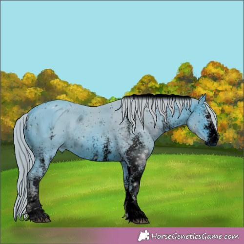 Horse Color:ERROR: UNKNOWN ANOMALY