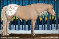 Horse Color:Chestnut Appaloosa 