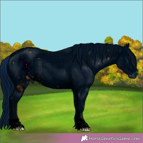 Horse Color:ERROR: UNKNOWN ANOMALY