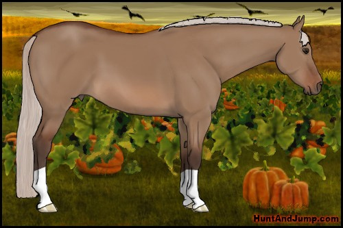 Horse Color: Silver Bay Dun 