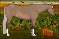 Horse Color:Silver Bay Dun