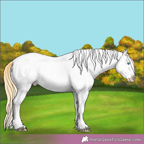 Horse Color:White Spotted Buckskin Pearl Splash Rabicano 