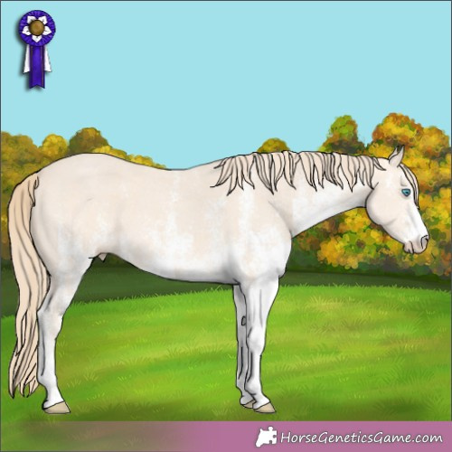 Horse Color:White Spotted Perlino 