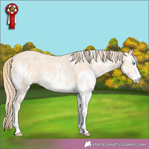 Horse Color:White Spotted Perlino 