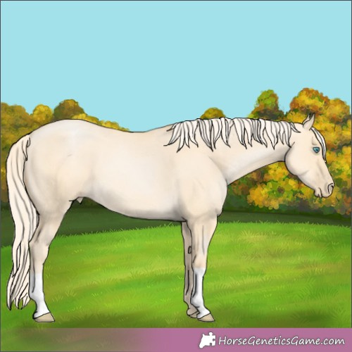 Horse Color:Palomino Pearl Dun 