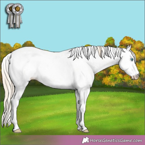 Horse Color:White Spotted Perlino Dun Sabino 