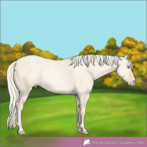 Horse Color:Palomino Pearl Dun 