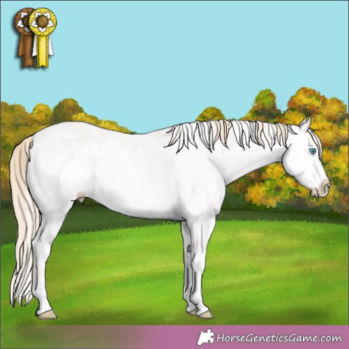Horse Color:White Spotted Perlino Dun Splash 