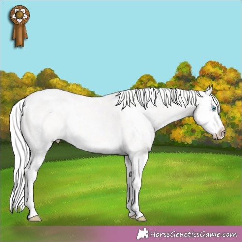 Horse Color:White Spotted Cremello Splash Rabicano 
