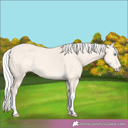 Horse Color:Silver Perlino Dun Tobiano Rabicano 