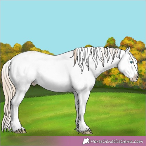 Horse Color:White Spotted Perlino Dun Splash 