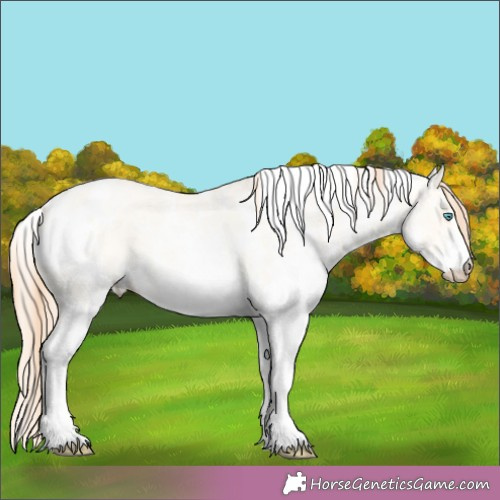 Horse Color:White Spotted Classic Cream Champagne Pearl Dun Rabicano 