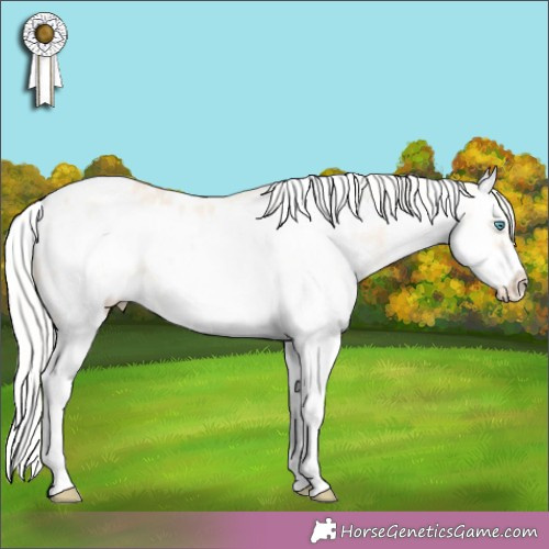 Horse Color:White Spotted Silver Perlino Dun Splash Frame Appaloosa Rabicano 
