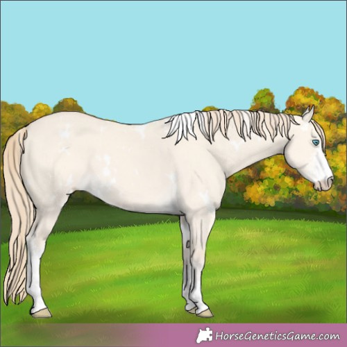 Horse Color:White Spotted Perlino Dun Sabino 