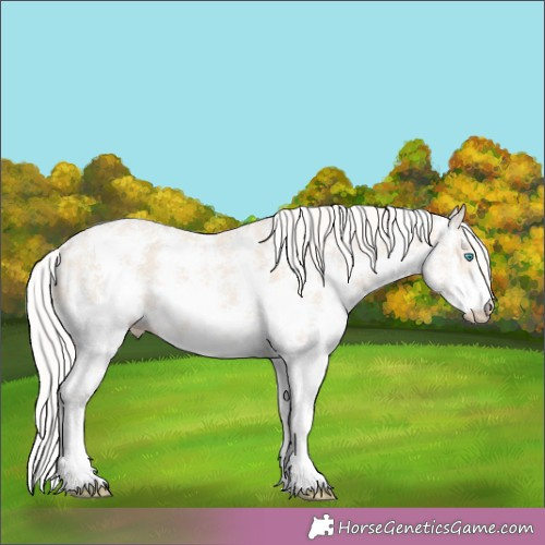 Horse Color:Cremello Sabino 