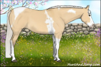 Horse Color:Silver Buckskin Dun Splash Tobiano 