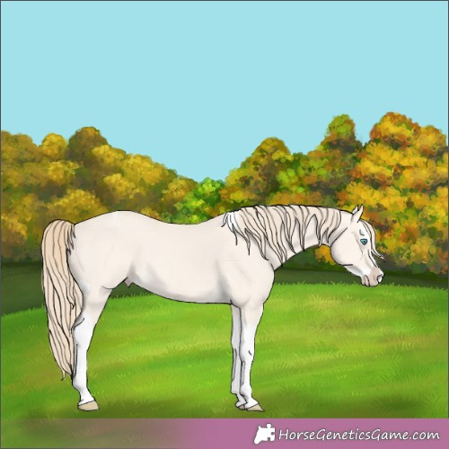 Horse Color:Perlino Dun Splash Tobiano 