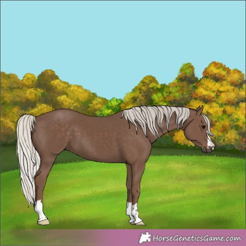 Horse Color:Silver Black 