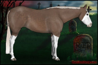 Horse Color:Silver Black Splash