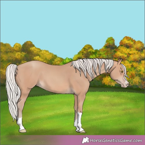 Horse Color:Silver Sable Champagne