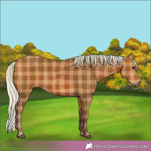 Horse Color:Plaid  Silver Brown 