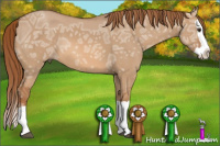 Horse Color:Red Dun Ice Splash 