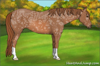 Horse Color:Chestnut Ice 