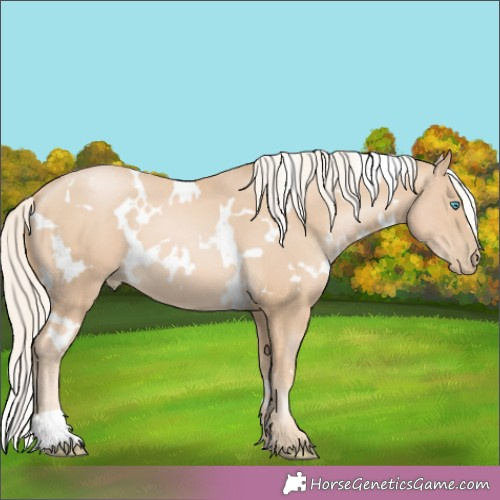 Horse Color:White Spotted Palomino Pearl 