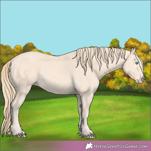 Horse Color:Perlino Rabicano 