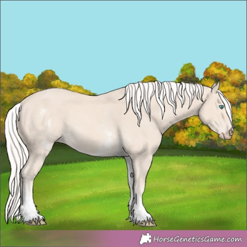 Horse Color:White Spotted Cremello 