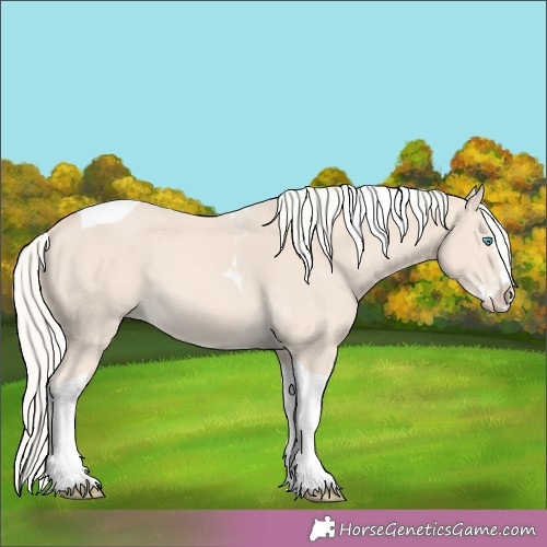 Horse Color:Cremello Splash Tobiano 