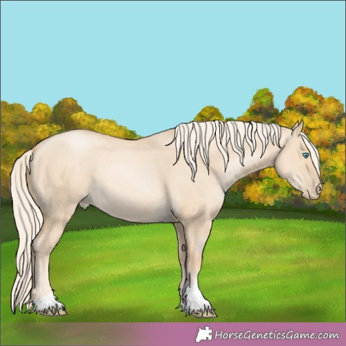 Horse Color:White Spotted Palomino Pearl Dun Tobiano 