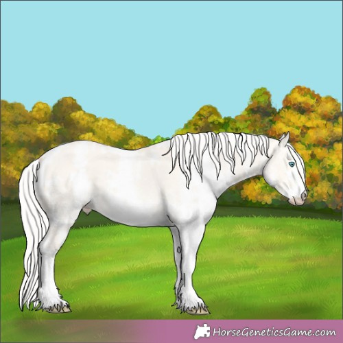 Horse Color:White Spotted Silver Perlino Dun 