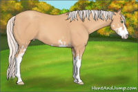 Horse Color:Silver Classic Champagne Sabino