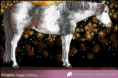 Horse Color:White Spotted Brown Splash 