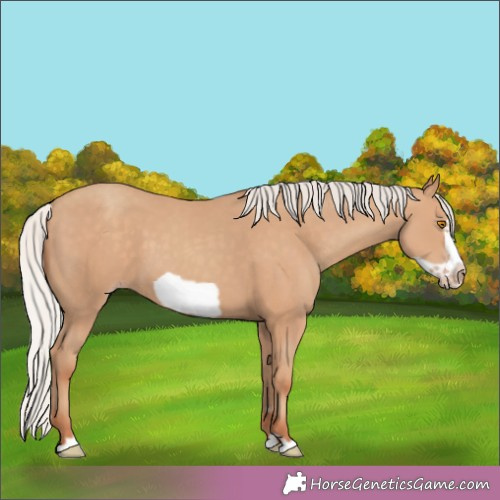 Horse Color:Silver Classic Champagne Frame 