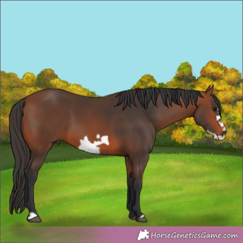 Horse Color:Brown Frame 