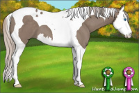 Horse Color:Silver Grullo Splash Tobiano 