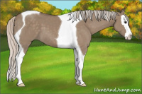 Horse Color:Silver Grullo Splash Tobiano