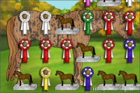 Horse Color:Black  Brindle