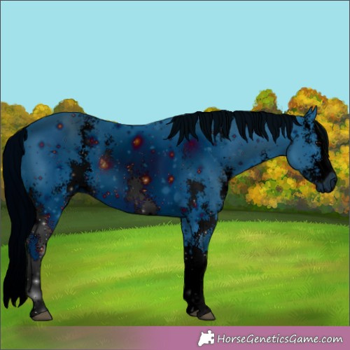 Horse Color:ERROR: UNKNOWN ANOMALY