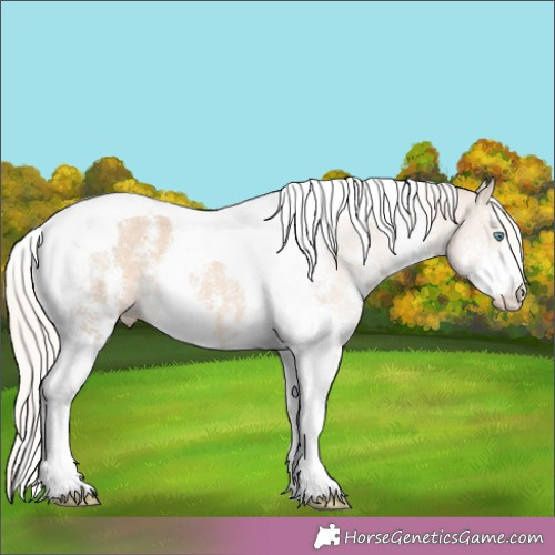 Horse Color:Cremello Sabino Tobiano Rabicano 
